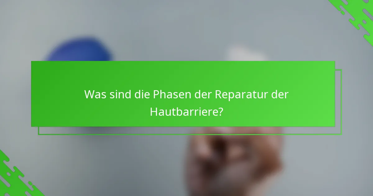 Was sind die Phasen der Reparatur der Hautbarriere?