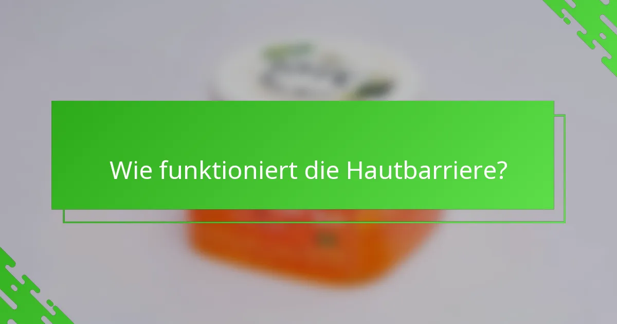 Wie funktioniert die Hautbarriere?