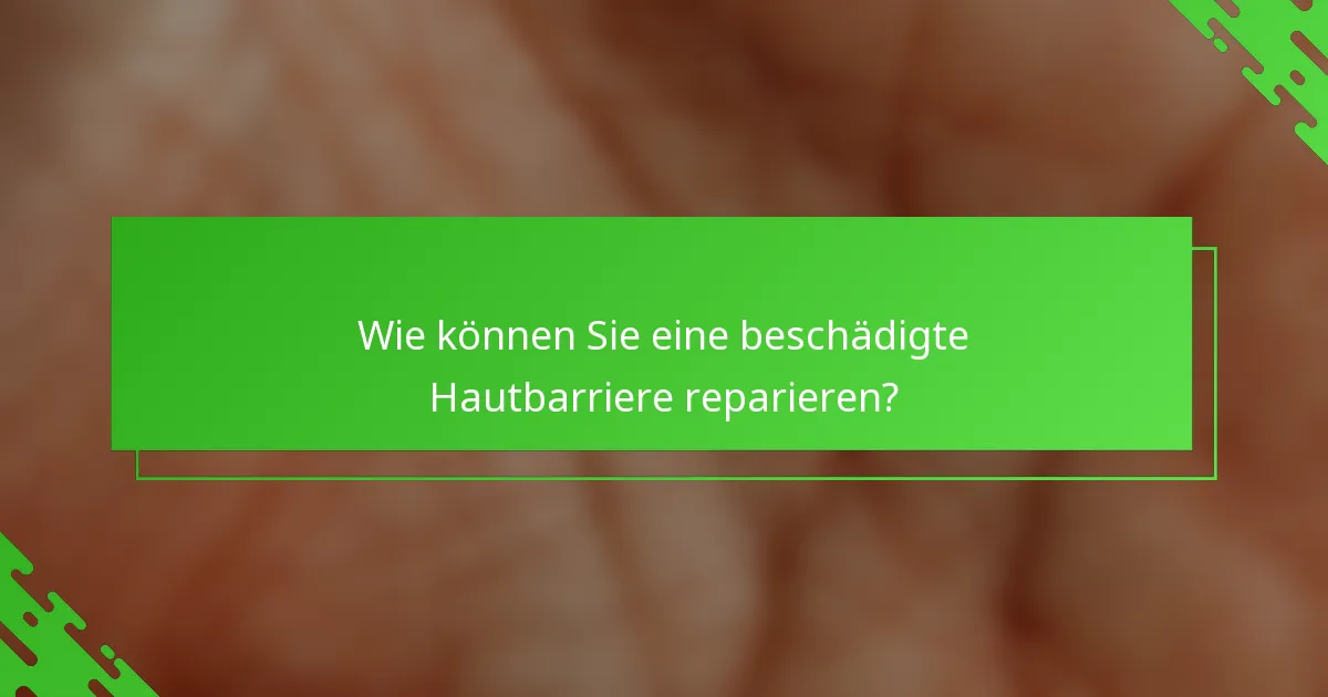 Wie können Sie eine beschädigte Hautbarriere reparieren?