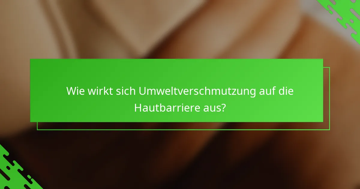Wie wirkt sich Umweltverschmutzung auf die Hautbarriere aus?